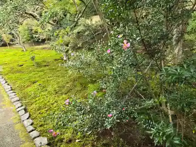 霊鑑寺門跡(京都府)
