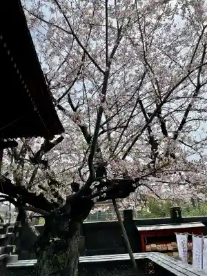 深川開運出世稲荷(東京都)