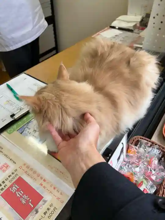 駒込妙義神社(東京都)