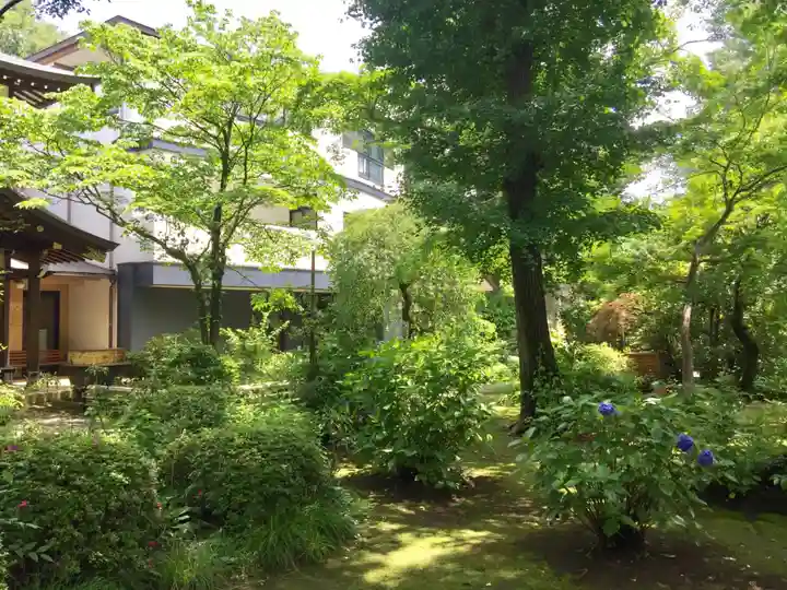 観蔵院 曼荼羅寺の自然