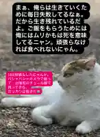 専念寺(大阪府)