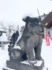 烈々布神社の狛犬