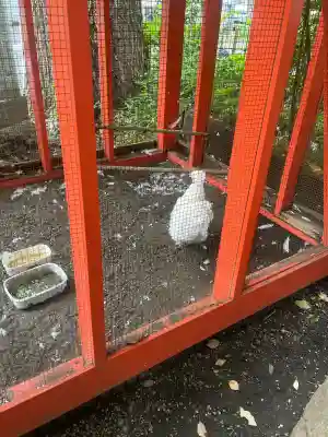 田無神社(東京都)