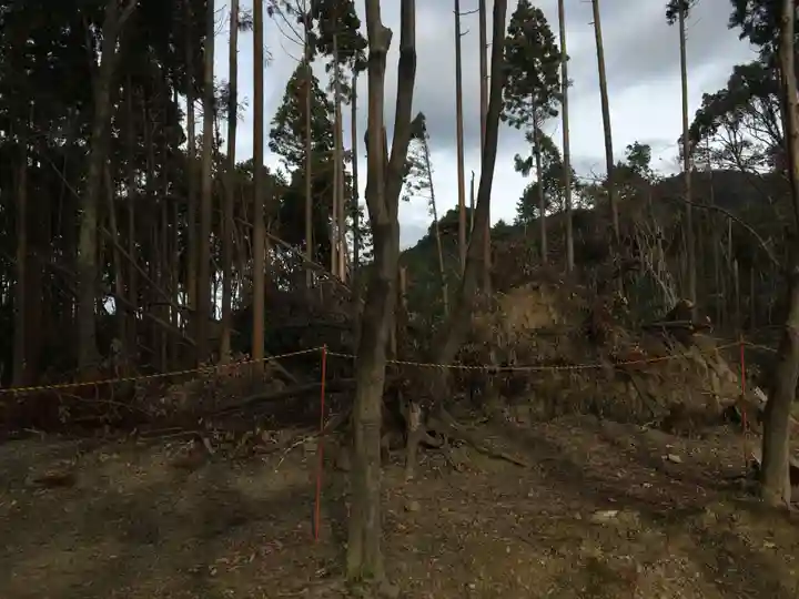 醍醐寺(上醍醐)の自然