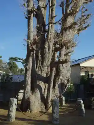 法華経寺(千葉県)