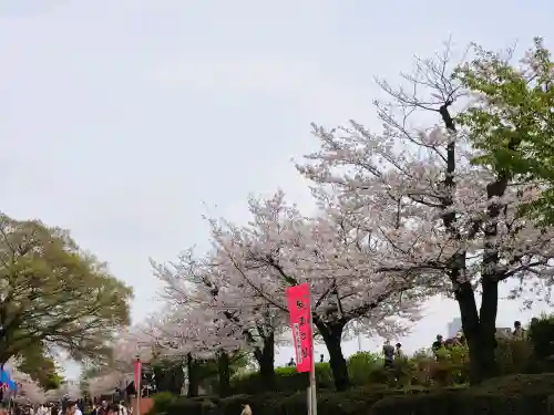 待乳山聖天（本龍院）の{uncategorized: "未分類", other: "その他", undefined: "問題あり", building: "その他建物", grave: "お墓", sacred_gate: "鳥居", guardian: "狛犬", statue: "像", buddha: "仏像", history: "歴史", nature: "自然", garden: "庭園", animal: "動物", pagoda: "塔", temizu: "手水舎", mountain_gate: "山門・神門", sanctuary: "本殿・本堂", subordinate: "末社・摂社", art: "芸術", scenery: "景色", jizo: "地蔵", ema: "絵馬", goshuin: "御朱印", omikuji: "おみくじ", items: "授与品その他", amulet: "お守り", goshuincho: "御朱印帳", eats: "食事", festival: "お祭り", votive_dance: "神楽", shichigosan: "七五三参", wedding: "結婚式", experience: "体験その他", initially: "初詣", around: "周辺", anti_infection: "感染症対策"}