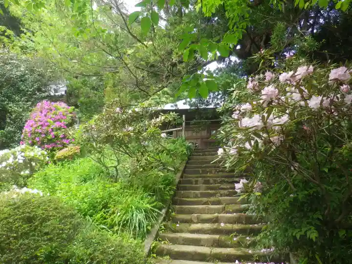 浄光明寺の庭園