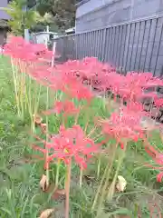 横浜　西方寺(神奈川県)