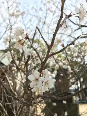 草木八幡神社(福岡県)