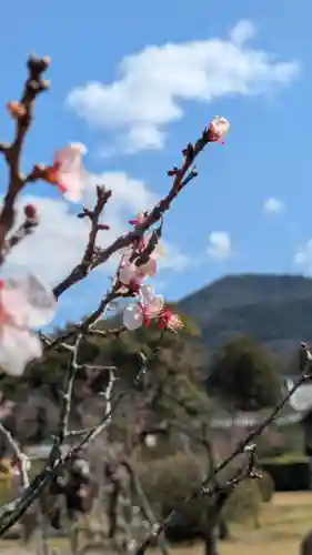 隨心院（随心院）(京都府)