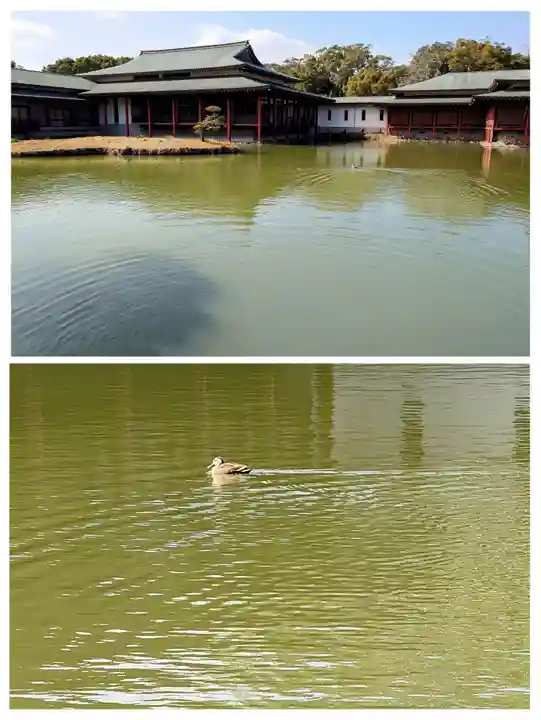 宇佐神宮の動物