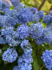 三室戸寺の自然