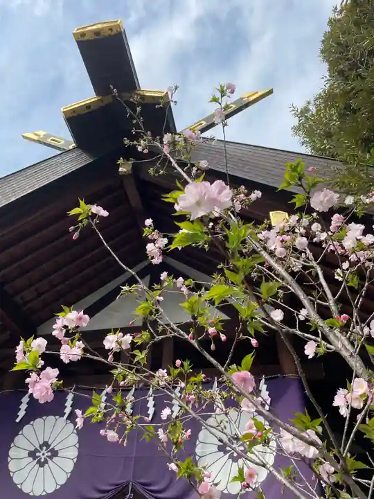 東京大神宮(東京都)