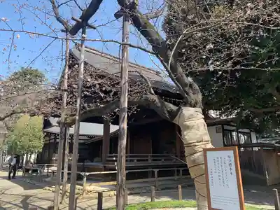 靖國神社のその他建物