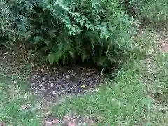 白山神社の自然