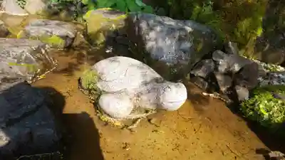 出雲大神宮の狛犬
