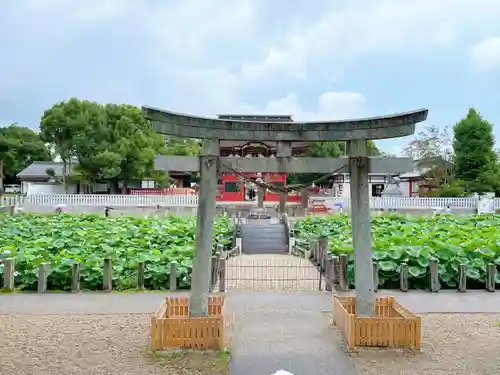 伊賀八幡宮の鳥居