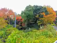 白山社の自然
