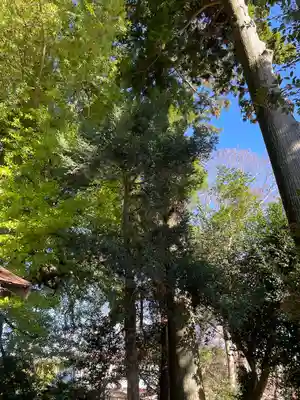 熊野神社(静岡県)