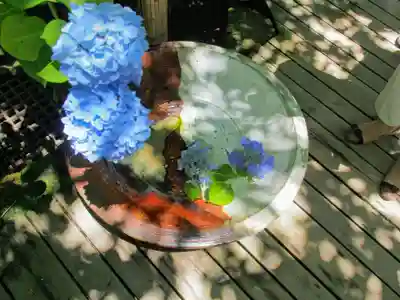 明月院の手水舎