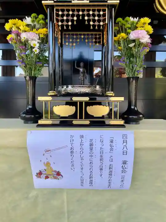 貞源寺の{uncategorized: "未分類", other: "その他", undefined: "問題あり", building: "その他建物", grave: "お墓", sacred_gate: "鳥居", guardian: "狛犬", statue: "像", buddha: "仏像", history: "歴史", nature: "自然", garden: "庭園", animal: "動物", pagoda: "塔", temizu: "手水舎", mountain_gate: "山門・神門", sanctuary: "本殿・本堂", subordinate: "末社・摂社", art: "芸術", scenery: "景色", jizo: "地蔵", ema: "絵馬", goshuin: "御朱印", omikuji: "おみくじ", items: "授与品その他", amulet: "お守り", goshuincho: "御朱印帳", eats: "食事", festival: "お祭り", votive_dance: "神楽", shichigosan: "七五三参", wedding: "結婚式", experience: "体験その他", initially: "初詣", around: "周辺", anti_infection: "感染症対策"}