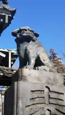 下総野田愛宕神社の狛犬