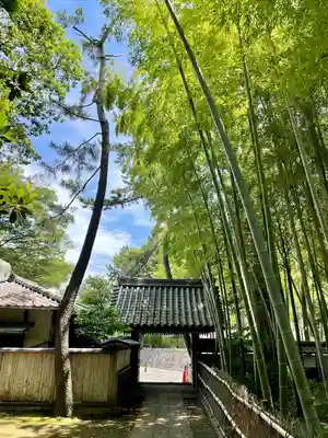 妙福寺(東京都)