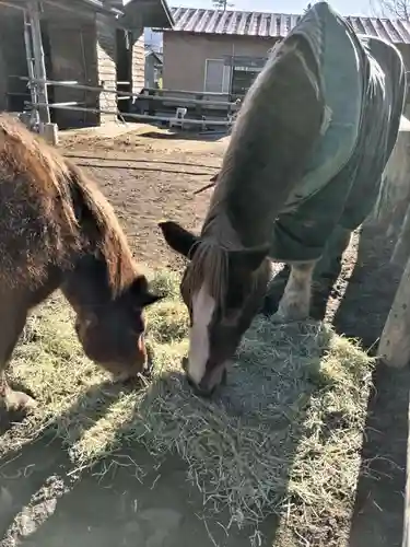 小室浅間神社(山梨県)