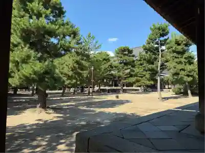 萬福寺(京都府)