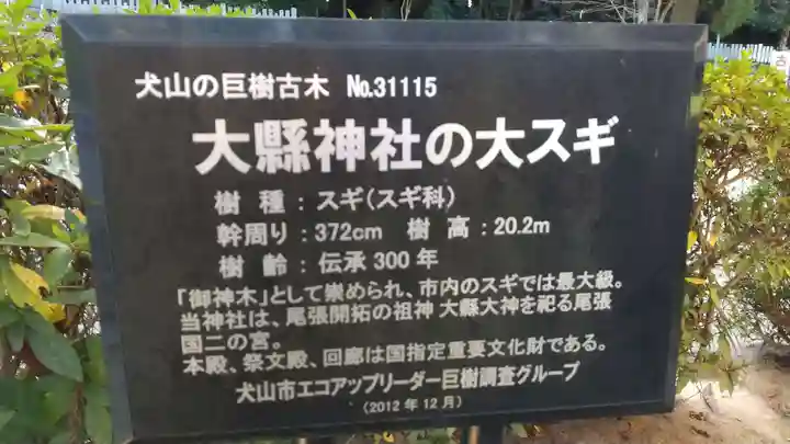 大縣神社のその他建物