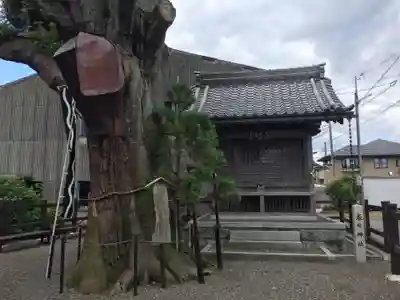 春日神社(岐阜県)