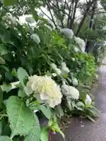 国上寺(新潟県)