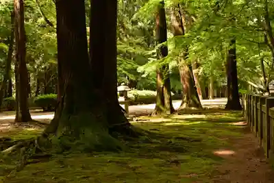 箸蔵寺(徳島県)