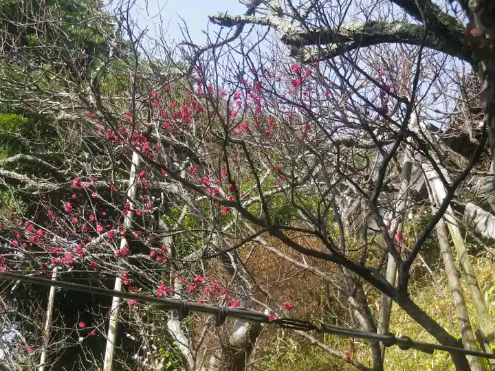 荏柄天神社の自然