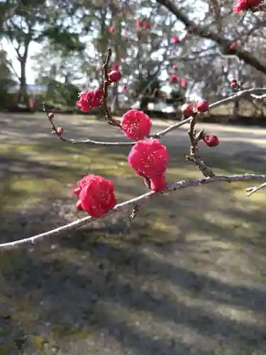 大島子諏訪神社(熊本県)