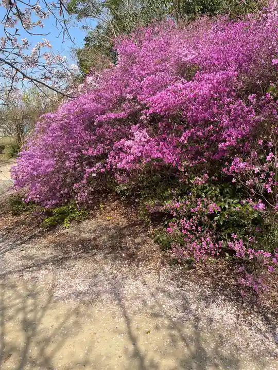 貴船神社の自然