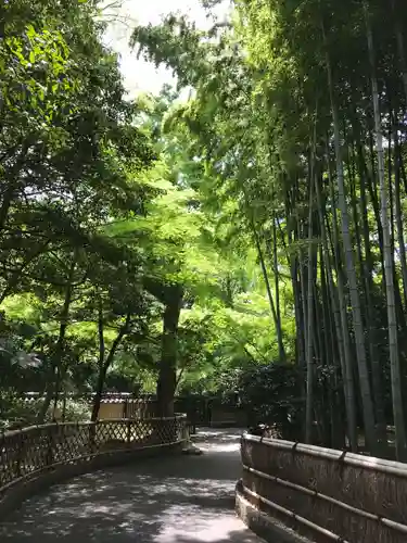 観泉寺の庭園