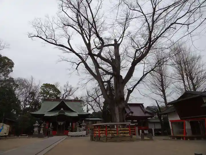 上野総社神社のその他建物