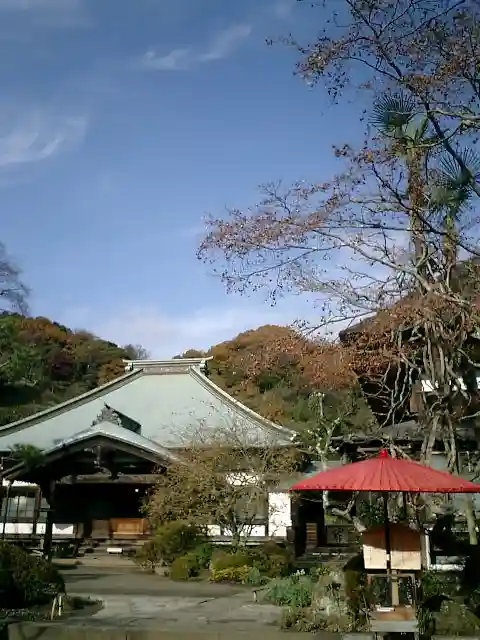海蔵寺の本殿・本堂