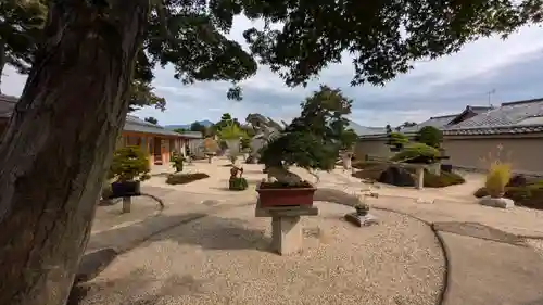 芳春院(京都府)