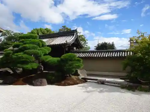 観智院（東寺子院）の庭園