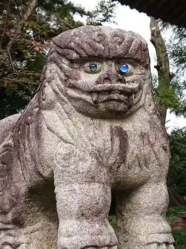人丸神社（小中町）の狛犬