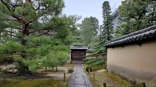 大徳寺(京都府)