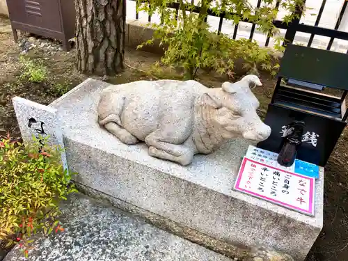 六波羅蜜寺の狛犬