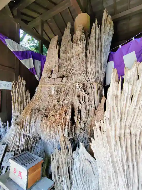 神明神社(石神さん)の自然