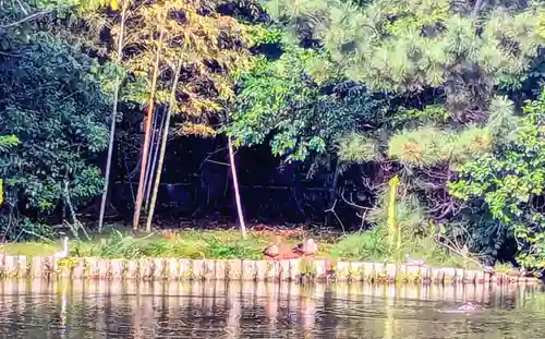 菊田神社の周辺