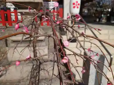 綱敷天満神社(兵庫県)