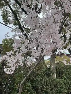 湊川神社(兵庫県)