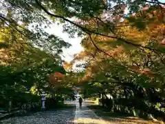 真正極楽寺（真如堂）の庭園