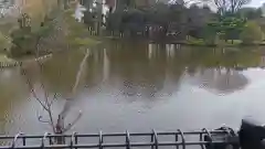 菊田神社の自然